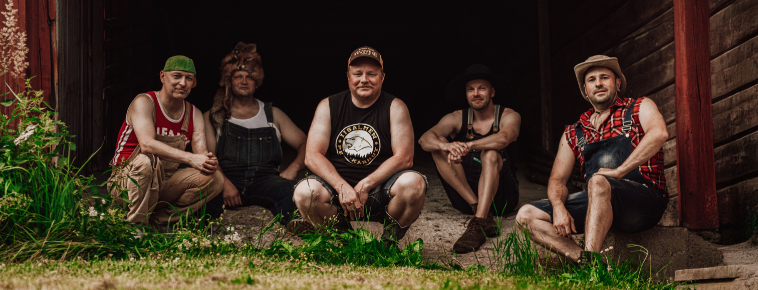 Steve'n'Seagulls